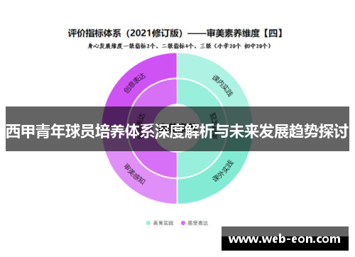 西甲青年球员培养体系深度解析与未来发展趋势探讨