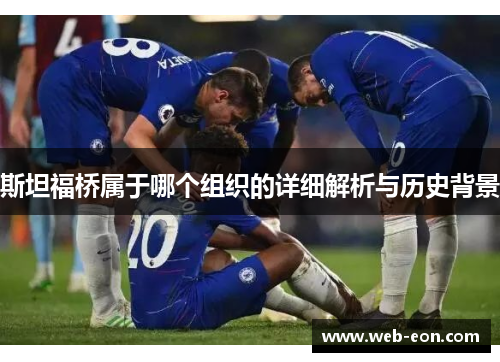 斯坦福桥属于哪个组织的详细解析与历史背景
